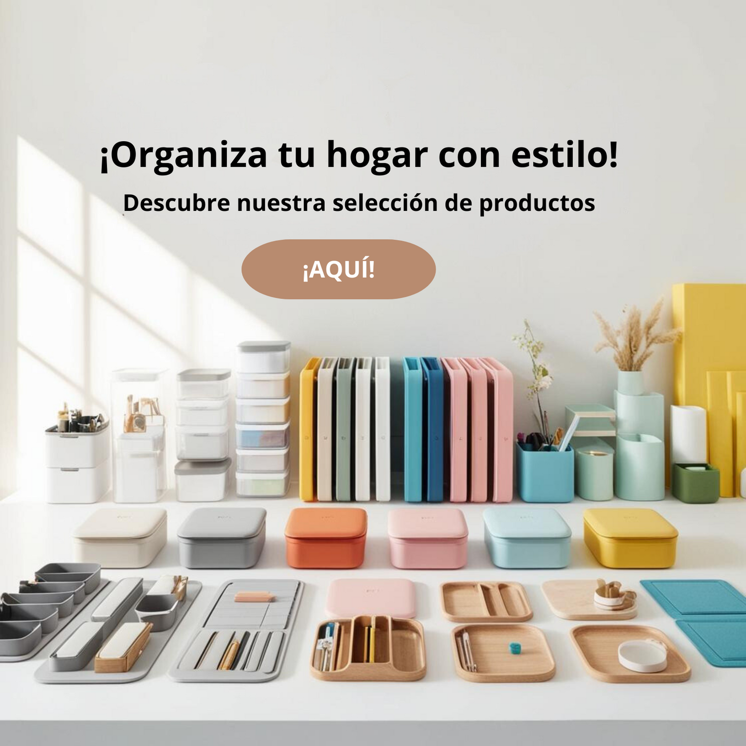 Organización y orden